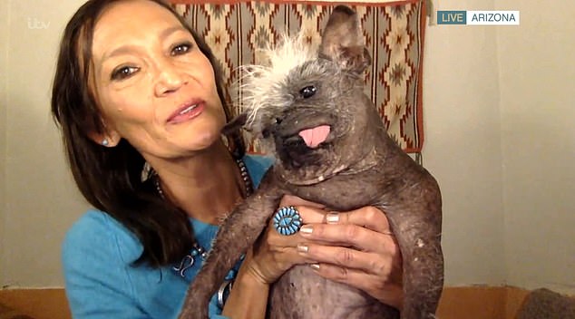 World’s Ugliest Dog wins over the world